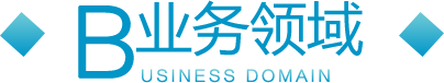 业务领域