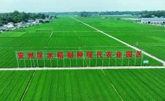 （高达生产工人严格按工